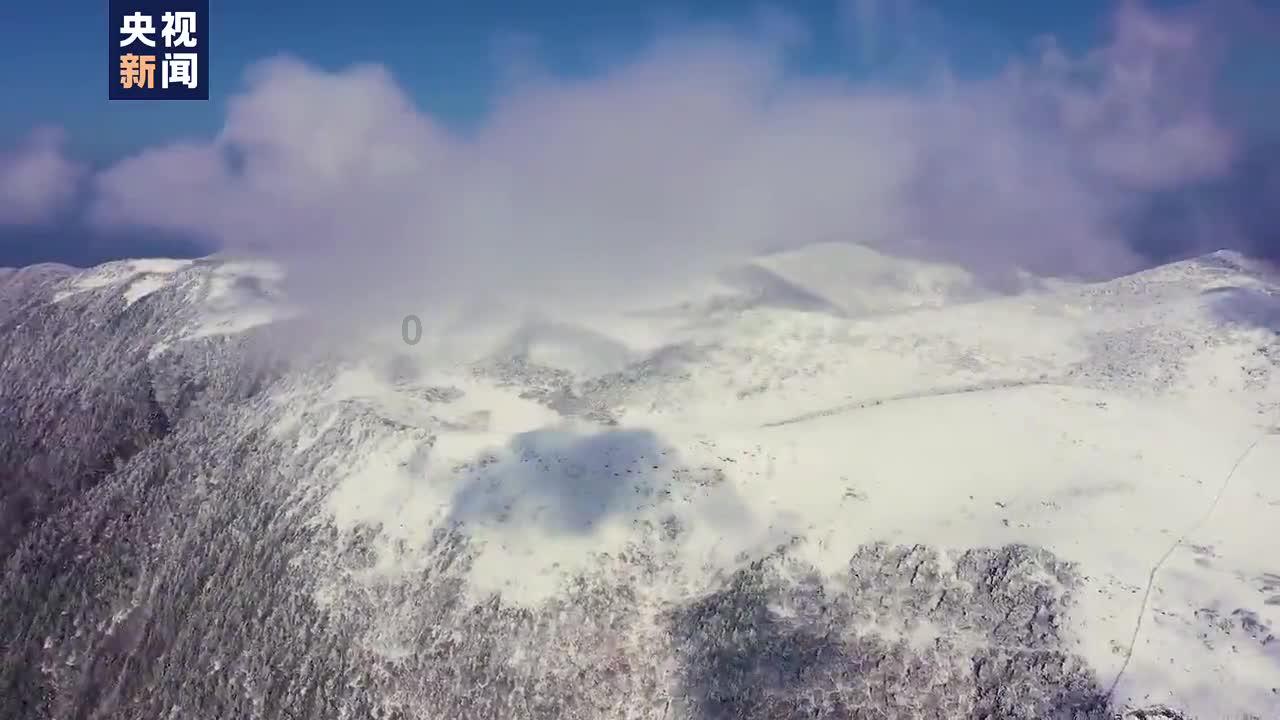 健康食物有哪些问答网-解答你的疑惑