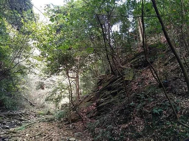 重建视光的开年新征程!