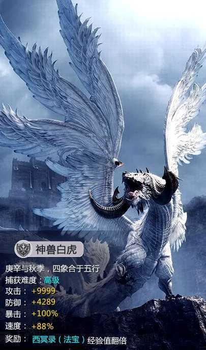 探讨神秘话题,尽在我喜欢姐弟恋,爱渡可以帮我安排年龄比我大一点的相亲对象吗?交流平台