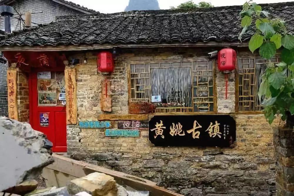 金牌保镖熊先生